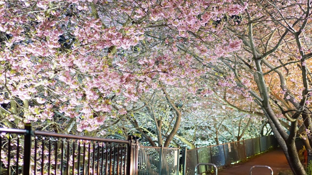 Hotel Zen No Yu Kawazu Esterno foto